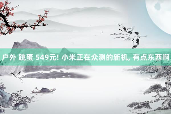 户外 跳蛋 549元! 小米正在众测的新机， 有点东西啊