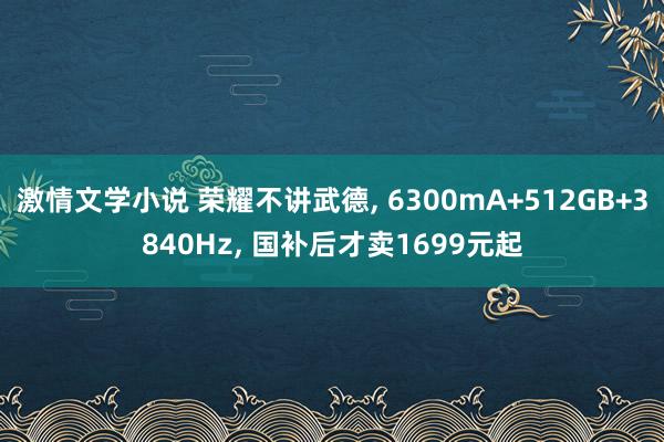 激情文学小说 荣耀不讲武德， 6300mA+512GB+3840Hz， 国补后才卖1699元起