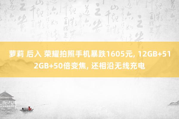 萝莉 后入 荣耀拍照手机暴跌1605元, 12GB+512G