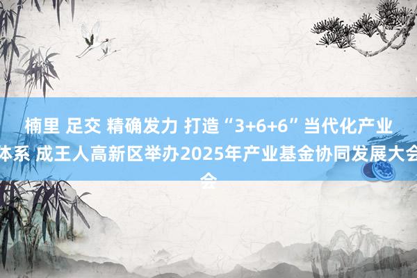 楠里 足交 精确发力 打造“3+6+6”当代化产业体系 成王人高新区举办2025年产业基金协同发展大会