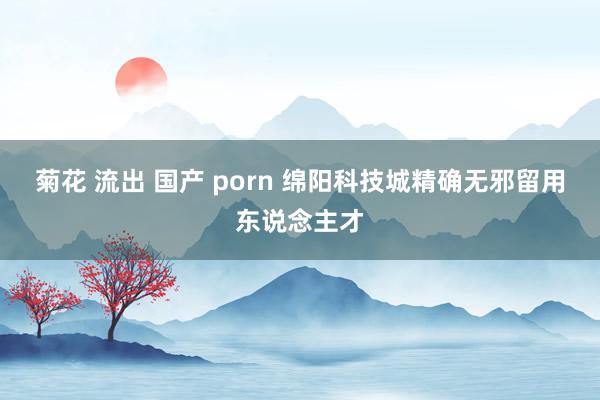 菊花 流出 国产 porn 绵阳科技城精确无邪留用东说念主才