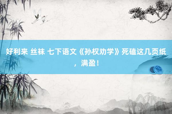 好利来 丝袜 七下语文《孙权劝学》死磕这几页纸，满盈！