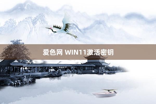爱色网 WIN11激活密钥
