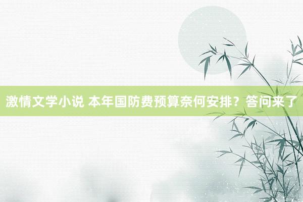 激情文学小说 本年国防费预算奈何安排？答问来了