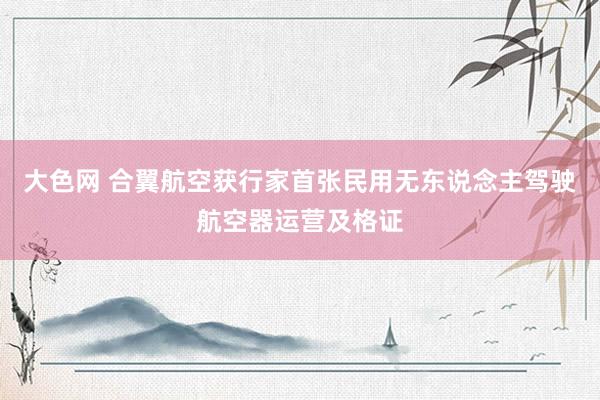 大色网 合翼航空获行家首张民用无东说念主驾驶航空器运营及格证
